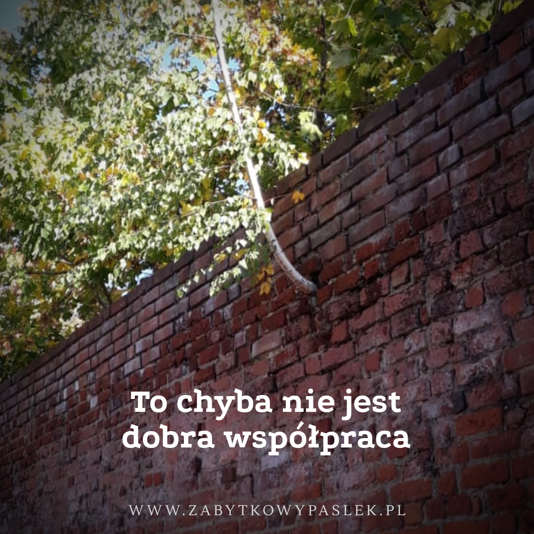 20190225 101847 00018427859986676126162 Zabytkowy Pasłęk mury