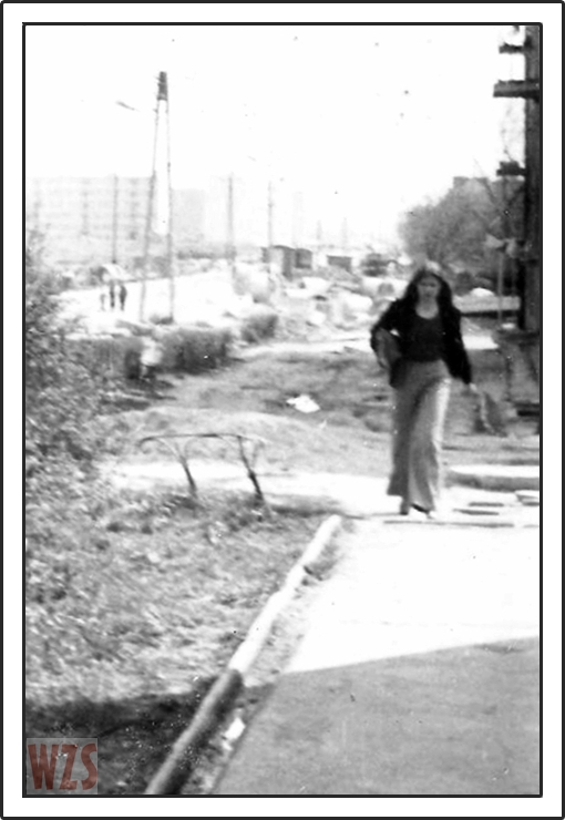 04 Zabytkowy Pasłęk