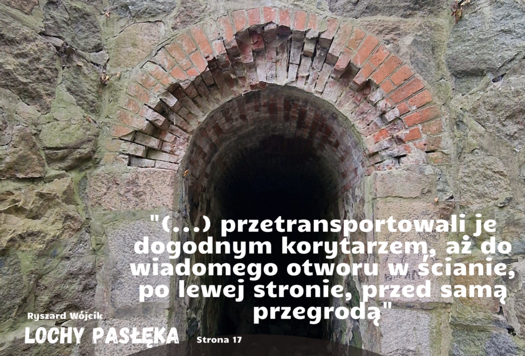 1000190822 Zabytkowy Pasłęk lochy Pasłęka