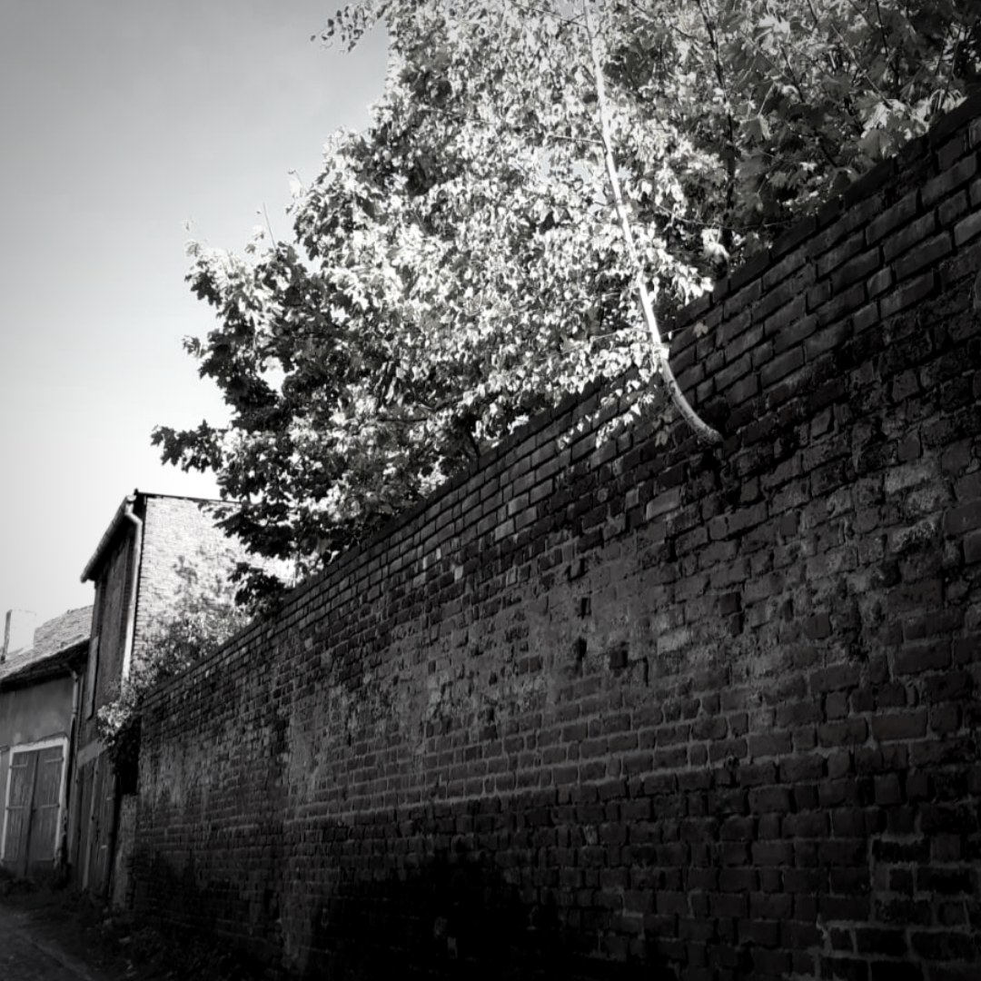 20190225 101052 0001 Zabytkowy Pasłęk mury