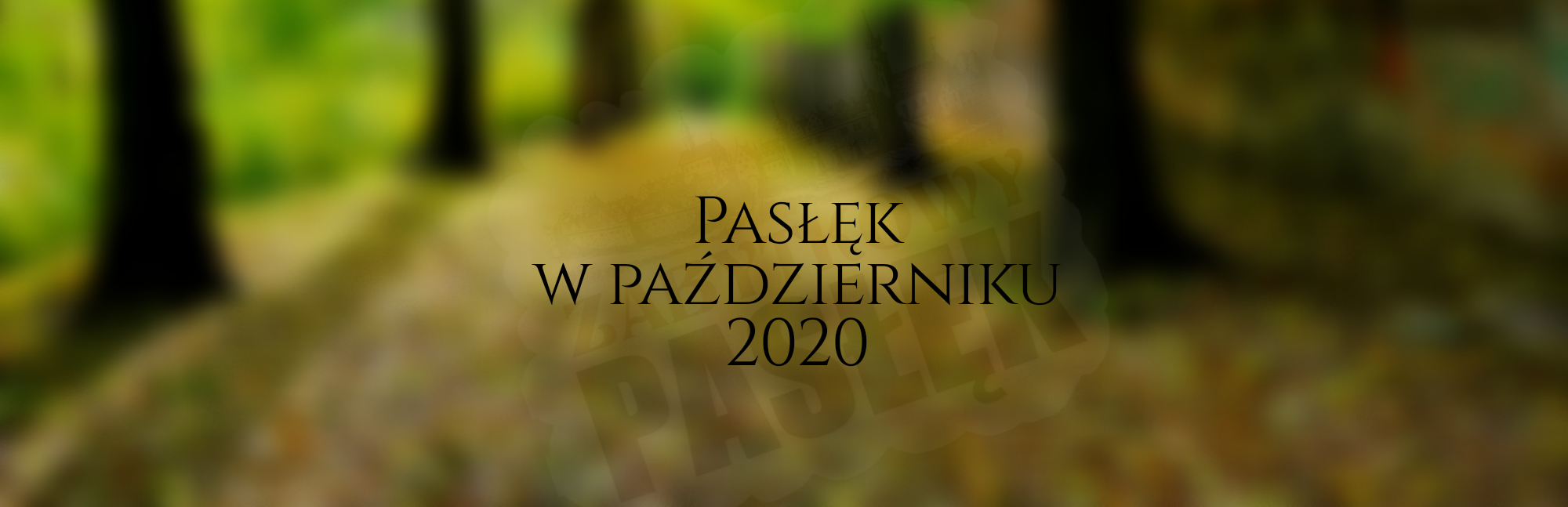 20201022 141155 0000 Zabytkowy Pasłęk Jesień w Pasłęku